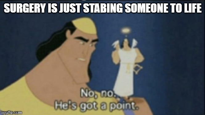 no no hes got a point | SURGERY IS JUST STABING SOMEONE TO LIFE | image tagged in no no hes got a point | made w/ Imgflip meme maker
