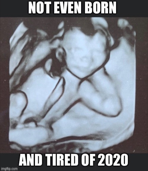 Tired | image tagged in 2020 | made w/ Imgflip meme maker