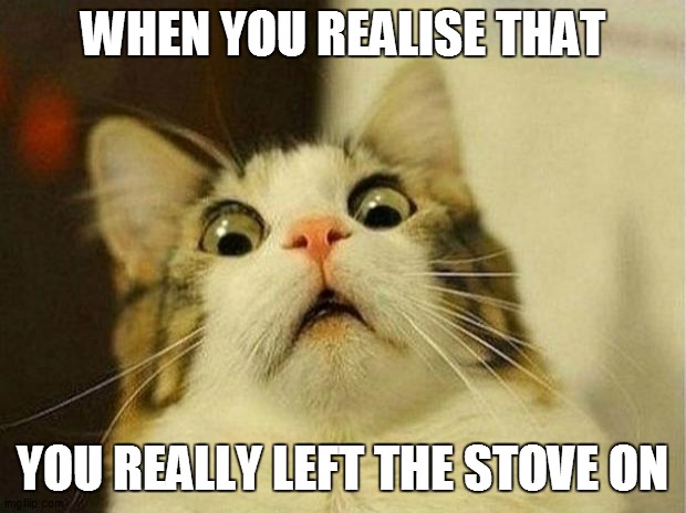 Scared Cat | WHEN YOU REALISE THAT; YOU REALLY LEFT THE STOVE ON | image tagged in memes,scared cat | made w/ Imgflip meme maker