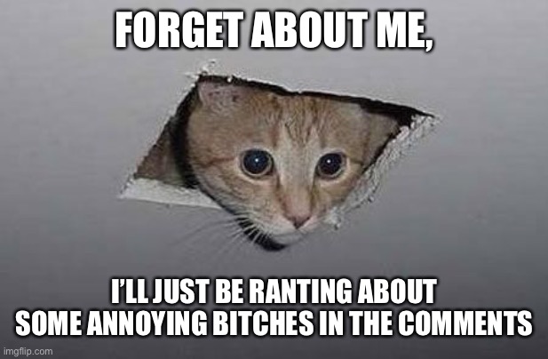 Ceiling Cat | FORGET ABOUT ME, I’LL JUST BE RANTING ABOUT SOME ANNOYING BITCHES IN THE COMMENTS | image tagged in ceiling cat | made w/ Imgflip meme maker
