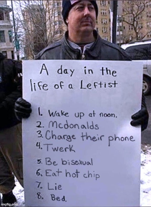 whats rly wrong with this life tho | image tagged in leftist,mcdonalds,twerk,charger,bisexual,repost | made w/ Imgflip meme maker