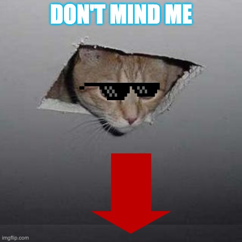 Ceiling Cat | DON'T MIND ME | image tagged in memes,ceiling cat | made w/ Imgflip meme maker
