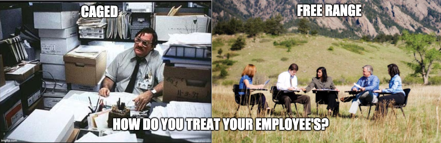 Caged Free-range | FREE RANGE; CAGED; HOW DO YOU TREAT YOUR EMPLOYEE'S? | image tagged in employees,cage,free | made w/ Imgflip meme maker