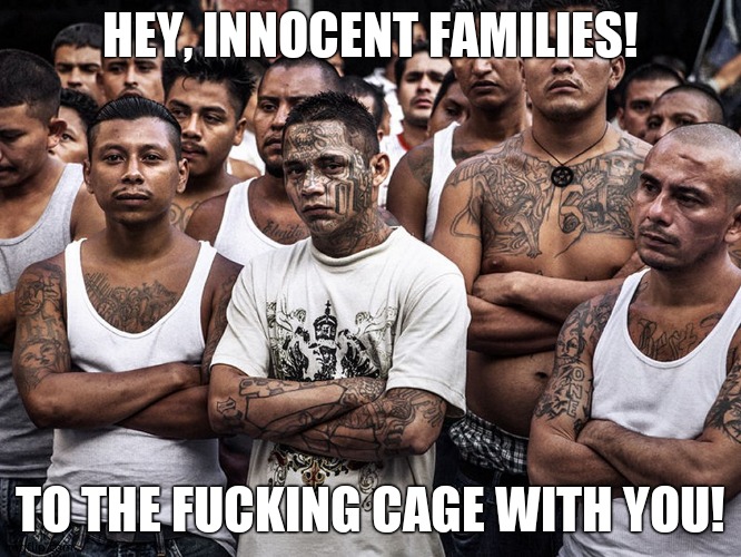 ms-13 dreamers daca | HEY, INNOCENT FAMILIES! TO THE FUCKING CAGE WITH YOU! | image tagged in ms-13 dreamers daca | made w/ Imgflip meme maker