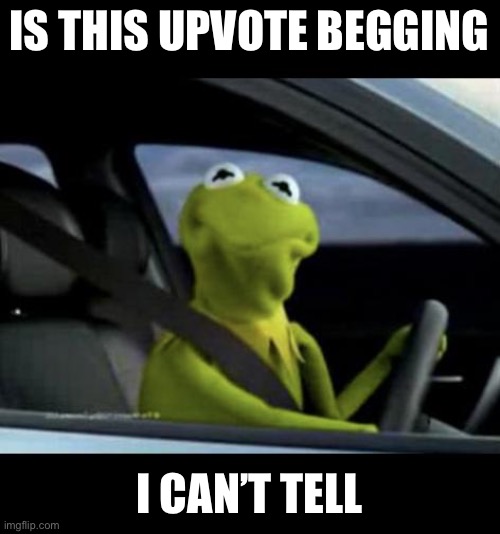 Kermit Driving | IS THIS UPVOTE BEGGING I CAN’T TELL | image tagged in kermit driving | made w/ Imgflip meme maker