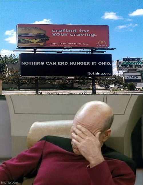 Bruh moment: The top billboard shows McDonald's: Crafted for your craving and under it shows Nothing can end hunger in Ohio. | image tagged in memes,captain picard facepalm,meme,signs/billboards,funny,bruh moment | made w/ Imgflip meme maker