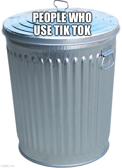 Made another template | PEOPLE WHO USE TIK TOK | image tagged in trash can | made w/ Imgflip meme maker