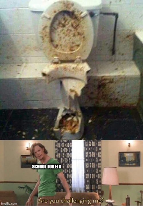 cursed toilet | SCHOOL TOILETS | image tagged in are you challenging me,cursed image,curse,toilet,eww,can't unsee | made w/ Imgflip meme maker
