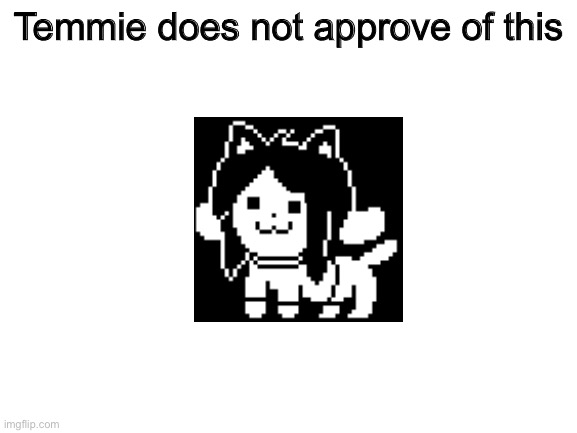 she does not | Temmie does not approve of this | image tagged in blank white template,temmie | made w/ Imgflip meme maker