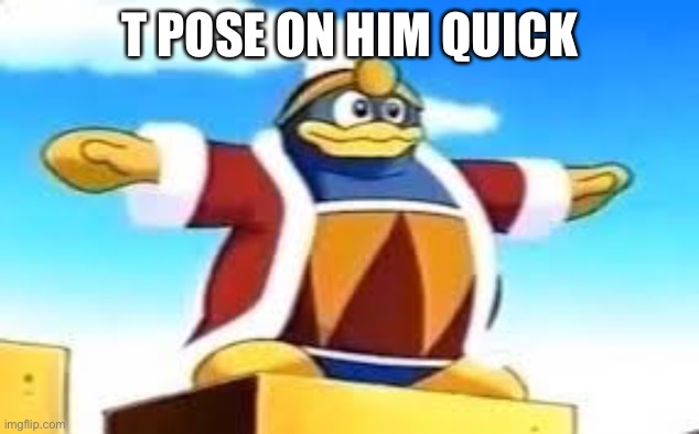 T POSE ON HIM | T POSE ON HIM QUICK | image tagged in king dedede tpose | made w/ Imgflip meme maker