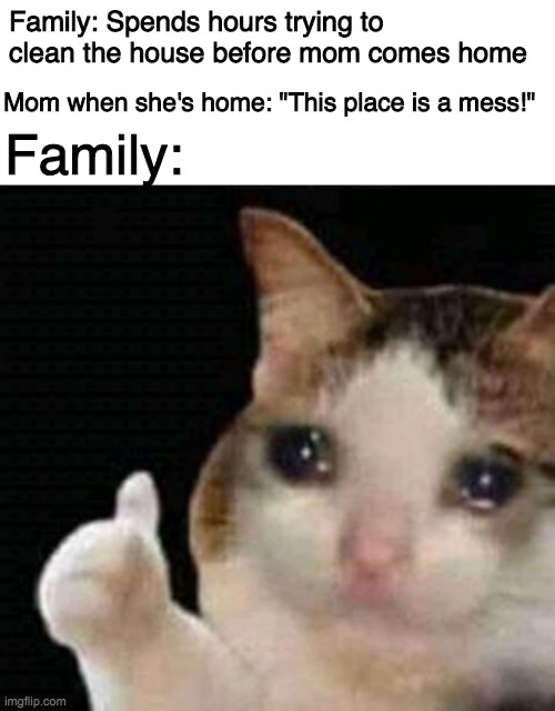 Family: Spends hours trying to clean the house before mom comes home; Mom when she's home: "This place is a mess!"; Family: | image tagged in blank white template,crying thumbs up | made w/ Imgflip meme maker