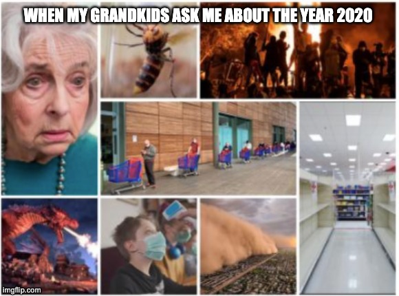 The Year 2020 | WHEN MY GRANDKIDS ASK ME ABOUT THE YEAR 2020 | image tagged in 2020 | made w/ Imgflip meme maker