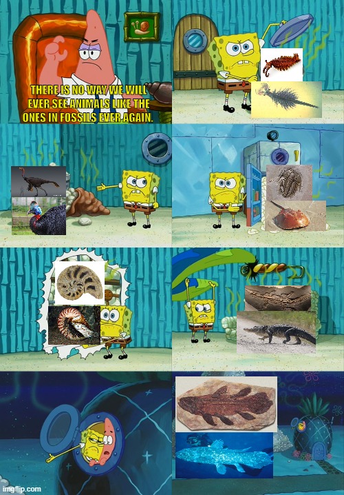 The evidence is damming. |  THERE IS NO WAY WE WILL EVER SEE ANIMALS LIKE THE ONES IN FOSSILS EVER AGAIN. | image tagged in spongebob diapers meme,dinosaurs,fossils,paleontology | made w/ Imgflip meme maker