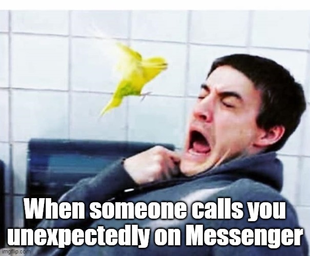 Messenger calls | When someone calls you unexpectedly on Messenger | image tagged in messenger calls,parakeet,when someone,calls,messenger | made w/ Imgflip meme maker