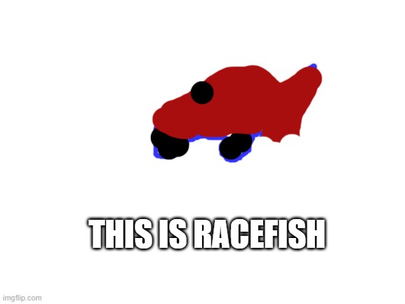 Racefish | THIS IS RACEFISH | image tagged in blank white template | made w/ Imgflip meme maker
