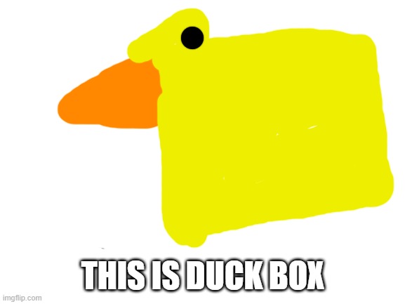 Duckbox | THIS IS DUCK BOX | image tagged in blank white template | made w/ Imgflip meme maker
