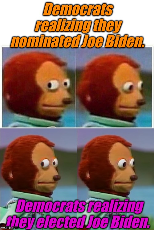 "I'm so forward-looking to have an opportunity to sit with the president or stand with the president and debates." |  Democrats realizing they nominated Joe Biden. Democrats realizing they elected Joe Biden. | image tagged in memes,monkey puppet,puppet monkey looking away | made w/ Imgflip meme maker
