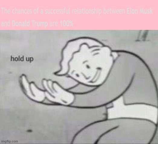 Hold up... | image tagged in fallout hold up,hold up,donald trump,elon musk | made w/ Imgflip meme maker