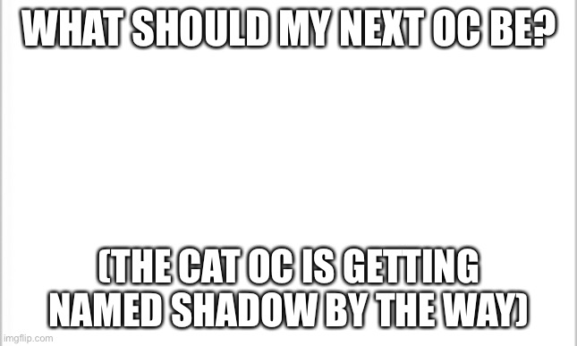 white background | WHAT SHOULD MY NEXT OC BE? (THE CAT OC IS GETTING NAMED SHADOW BY THE WAY) | image tagged in white background | made w/ Imgflip meme maker