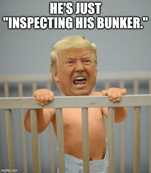 The only way the Secret Service can keep him contained. |  HE'S JUST "INSPECTING HIS BUNKER." | image tagged in caged trump,baby,diaper,crib,trump hitler | made w/ Imgflip meme maker