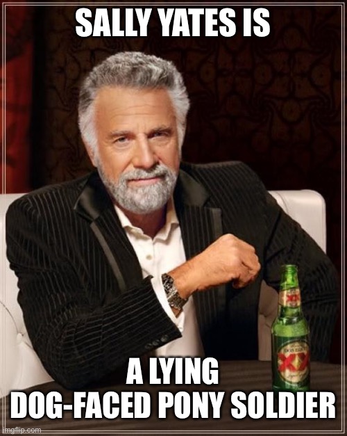 The Most Interesting Man In The World Meme | SALLY YATES IS; A LYING DOG-FACED PONY SOLDIER | image tagged in memes,the most interesting man in the world,sally yates | made w/ Imgflip meme maker