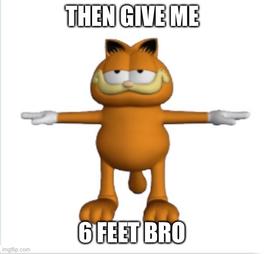 garfield t-pose | THEN GIVE ME 6 FEET BRO | image tagged in garfield t-pose | made w/ Imgflip meme maker