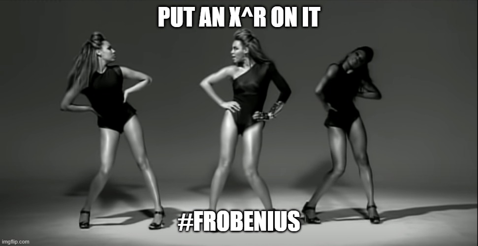 Frobenius method | PUT AN X^R ON IT; #FROBENIUS | image tagged in differential equations,frobenius,math,beyonce,put a ring on it | made w/ Imgflip meme maker