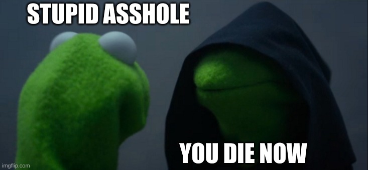 Evil Kermit | STUPID ASSHOLE; YOU DIE NOW | image tagged in memes,evil kermit | made w/ Imgflip meme maker