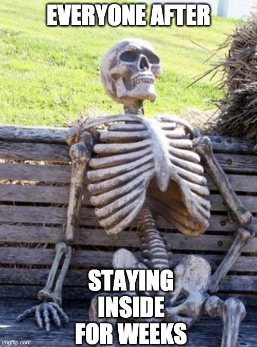 Waiting Skeleton Meme | EVERYONE AFTER; STAYING INSIDE FOR WEEKS | image tagged in memes,waiting skeleton | made w/ Imgflip meme maker