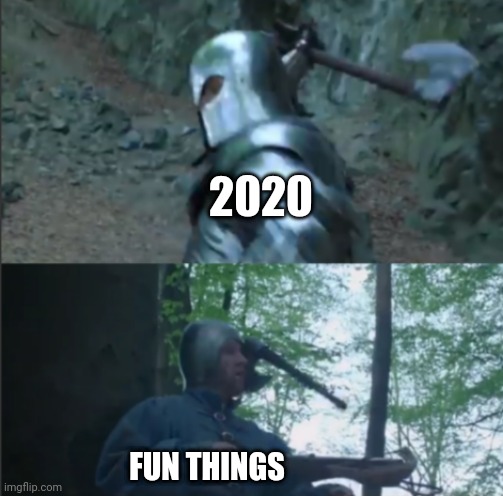 Axe to the Head | 2020; FUN THINGS | image tagged in axe to the head | made w/ Imgflip meme maker