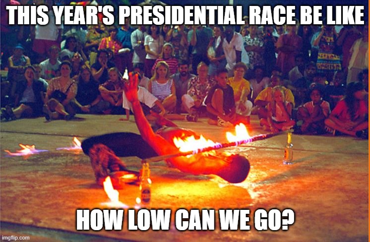 Candidate Limbo | THIS YEAR'S PRESIDENTIAL RACE BE LIKE; HOW LOW CAN WE GO? | image tagged in funny meme | made w/ Imgflip meme maker