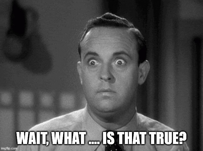 shocked face | WAIT, WHAT .... IS THAT TRUE? | image tagged in shocked face | made w/ Imgflip meme maker