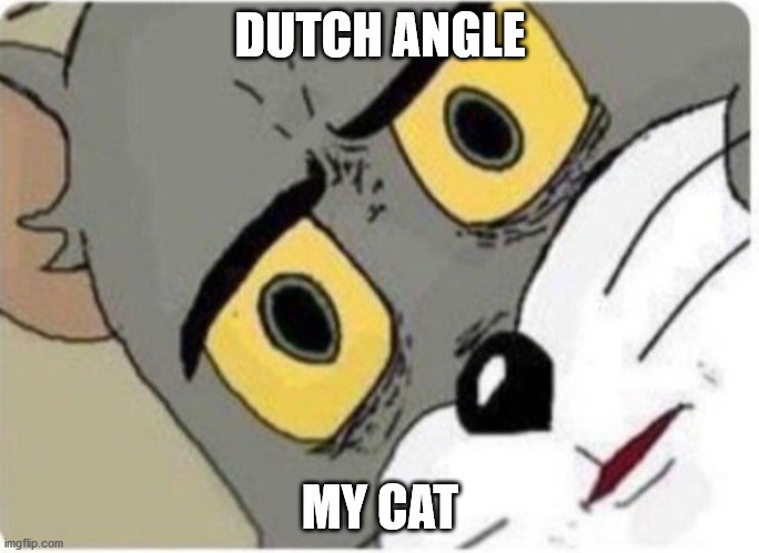 The truth | DUTCH ANGLE; MY CAT | image tagged in tom and jerry meme,anti joke | made w/ Imgflip meme maker