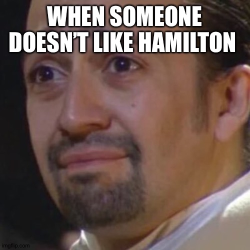 Sad Hamilton | WHEN SOMEONE DOESN’T LIKE HAMILTON | image tagged in sad hamilton | made w/ Imgflip meme maker