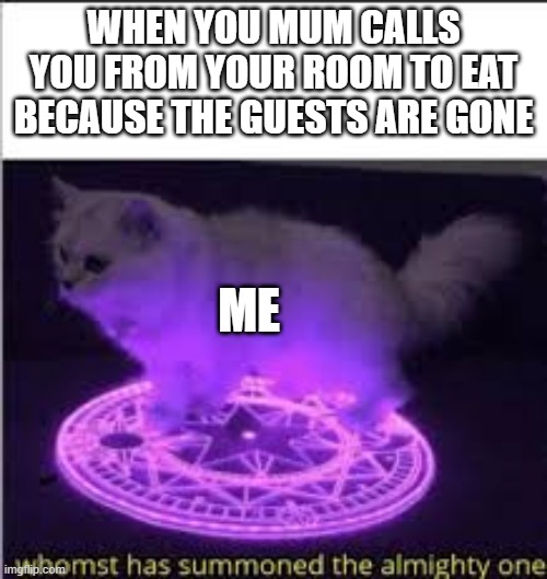 Whomst has Summoned the almighty one | WHEN YOU MUM CALLS YOU FROM YOUR ROOM TO EAT BECAUSE THE GUESTS ARE GONE; ME | image tagged in whomst has summoned the almighty one | made w/ Imgflip meme maker
