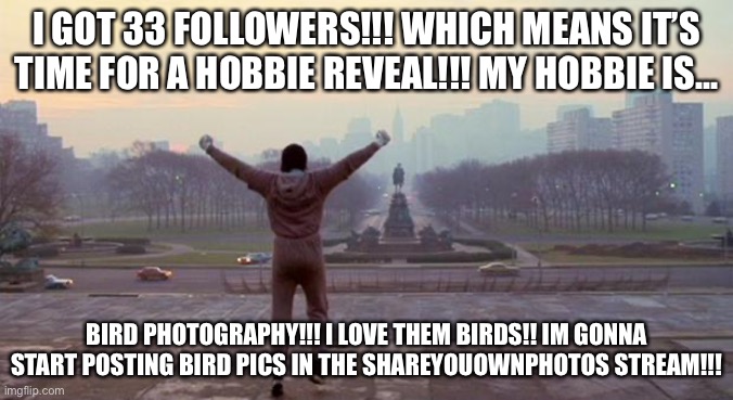 AYY | I GOT 33 FOLLOWERS!!! WHICH MEANS IT’S TIME FOR A HOBBIE REVEAL!!! MY HOBBIE IS... BIRD PHOTOGRAPHY!!! I LOVE THEM BIRDS!! IM GONNA START POSTING BIRD PICS IN THE SHAREYOUOWNPHOTOS STREAM!!! | image tagged in rocky - we did it | made w/ Imgflip meme maker