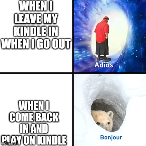 I like my kindle | WHEN I LEAVE MY KINDLE IN WHEN I GO OUT; WHEN I COME BACK IN AND PLAY ON KINDLE | image tagged in adios bonjour,adios,bonjour | made w/ Imgflip meme maker