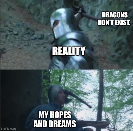 I’m so sad that I will never meet a dragon ☹️ | DRAGONS DON’T EXIST. REALITY; MY HOPES AND DREAMS | image tagged in axe to the head,dragons,sad,reality | made w/ Imgflip meme maker