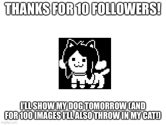 THANK YOU ALL!! | THANKS FOR 10 FOLLOWERS! I’LL SHOW MY DOG TOMORROW (AND FOR 100 IMAGES I’LL ALSO THROW IN MY CAT!) | image tagged in blank white template | made w/ Imgflip meme maker