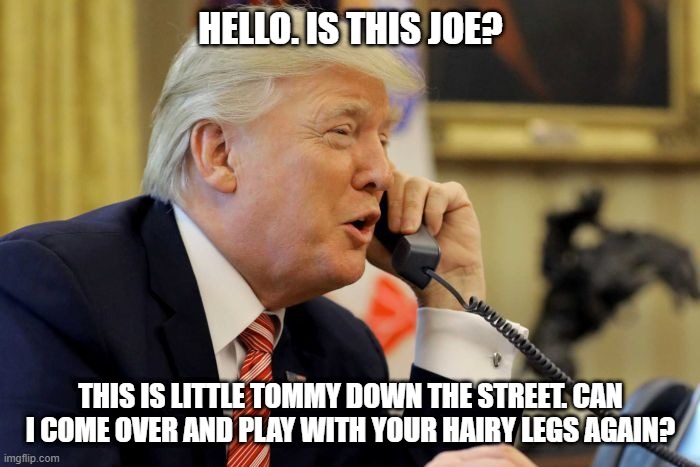 Hello. Is this Joe? | HELLO. IS THIS JOE? THIS IS LITTLE TOMMY DOWN THE STREET. CAN I COME OVER AND PLAY WITH YOUR HAIRY LEGS AGAIN? | image tagged in president trump | made w/ Imgflip meme maker