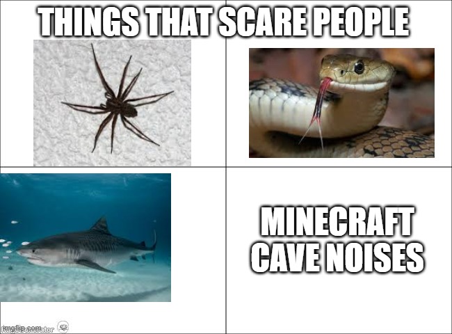 4 panel comic | THINGS THAT SCARE PEOPLE; MINECRAFT CAVE NOISES | image tagged in 4 panel comic | made w/ Imgflip meme maker