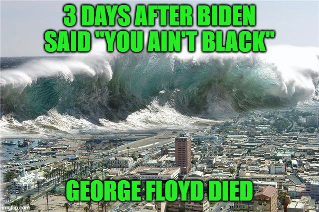 Tsunami Momentum | 3 DAYS AFTER BIDEN SAID "YOU AIN'T BLACK" GEORGE FLOYD DIED | image tagged in tsunami momentum | made w/ Imgflip meme maker