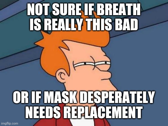 Futurama Fry Meme | NOT SURE IF BREATH IS REALLY THIS BAD; OR IF MASK DESPERATELY NEEDS REPLACEMENT | image tagged in memes,futurama fry | made w/ Imgflip meme maker