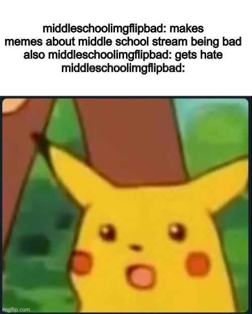 middleschoolimgflipbad go :000 when he get hate |  middleschoolimgflipbad: makes memes about middle school stream being bad
also middleschoolimgflipbad: gets hate
middleschoolimgflipbad: | image tagged in blank white template,surprised pikachu | made w/ Imgflip meme maker