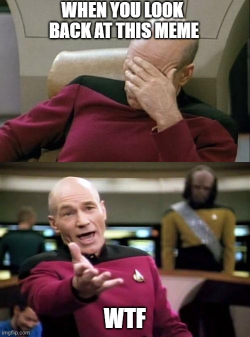 WHEN YOU LOOK


 BACK AT THIS MEME WTF | image tagged in memes,picard wtf,captain picard facepalm | made w/ Imgflip meme maker