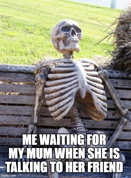 Waiting for mum | ME WAITING FOR MY MUM WHEN SHE IS TALKING TO HER FRIEND | image tagged in memes,waiting skeleton | made w/ Imgflip meme maker