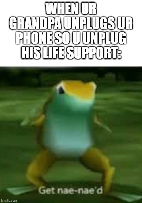 Get nae nae'd | WHEN UR GRANDPA UNPLUGS UR PHONE SO U UNPLUG HIS LIFE SUPPORT: | image tagged in get nae nae'd | made w/ Imgflip meme maker