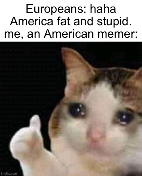 Europeans: haha America fat and stupid. me, an American memer: | image tagged in crying thumbs up,americans,memers,british,europe,sad cat | made w/ Imgflip meme maker