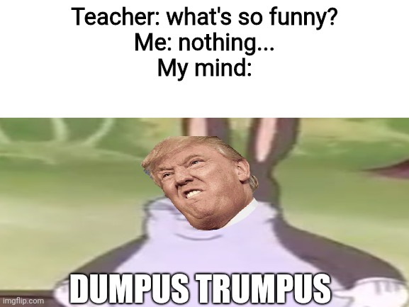 D U M P U S T R U M P U S | Teacher: what's so funny?
Me: nothing...
My mind:; DUMPUS TRUMPUS | image tagged in donald trump,blank white template,big chungus | made w/ Imgflip meme maker