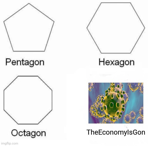 2020 in a shellnut | TheEconomyIsGon | image tagged in memes,pentagon hexagon octagon,2020,covid-19 | made w/ Imgflip meme maker